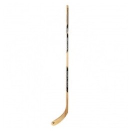 Fischer W150 - SR '20